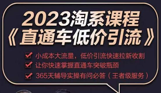 2023直通车低价引流玩法课程，小成本大流量，低价引流快速拉新收割，让你快速掌握直通车突破瓶颈-猫哥网资源库