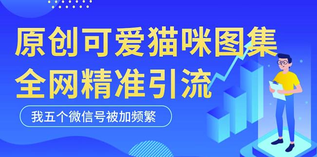 黑科技纯原创可爱猫咪图片，全网精准引流，实操5个VX号被加频繁-猫哥网资源库