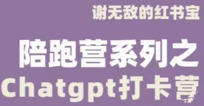 谢无敌ChatGPT打卡营，教你更好地使用ChatGPT来提高工作效率-猫哥网资源库