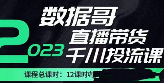 数据哥2023直播电商巨量千川付费投流实操课，快速掌握直播带货运营投放策略-猫哥网资源库