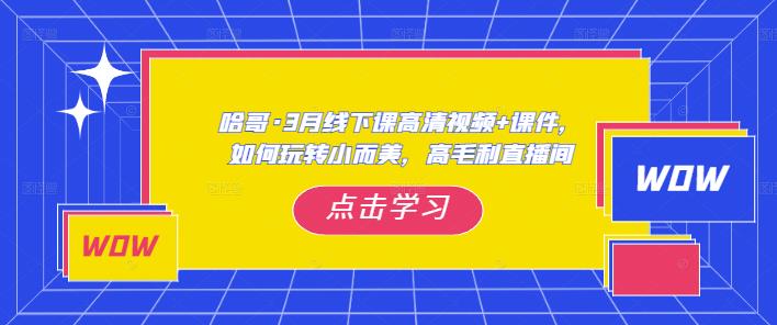 哈哥·3月线下实操课高清视频+课件，如何玩转小而美，高毛利直播间-猫哥网资源库