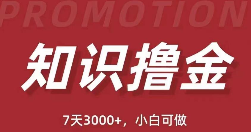 抖音知识撸金项目：简单粗暴日入1000+执行力强当天见收益(教程+资料)-猫哥网资源库