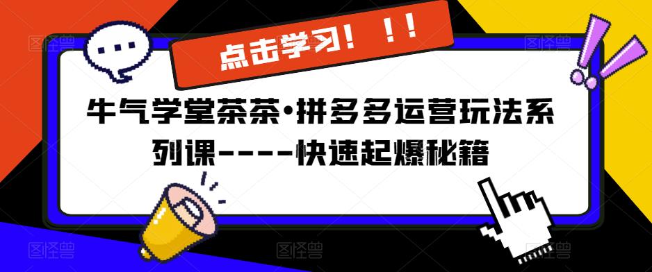 牛气学堂茶茶•拼多多运营玩法系列课—-快速起爆秘籍【更新】-猫哥网资源库