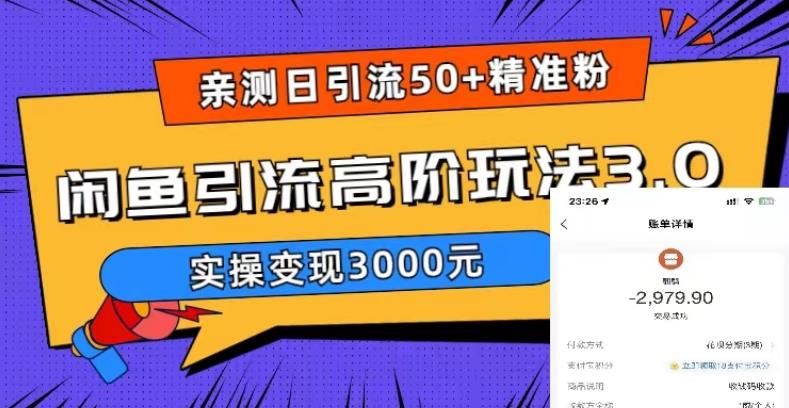 亲测日引50+精准粉，闲鱼引流高阶玩法3.0，实操变现3000元【揭秘】-猫哥网资源库