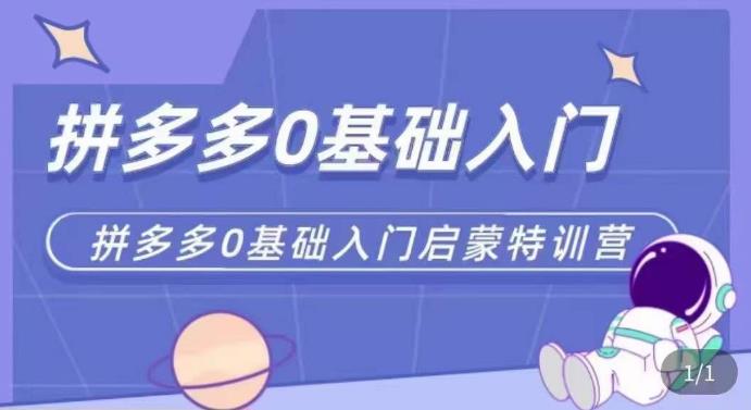 拼多多运营0-1实操特训营，拼多多0基础入门，从基础到进阶的可实操玩法-猫哥网资源库