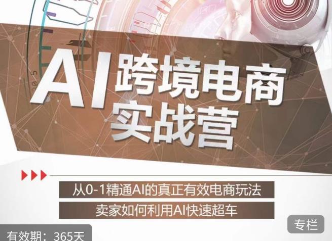 白龙老师·AI跨境电商实战营：从0-1精通Al的真正有效电商玩法，卖家如何利用Al快速超车-猫哥网资源库
