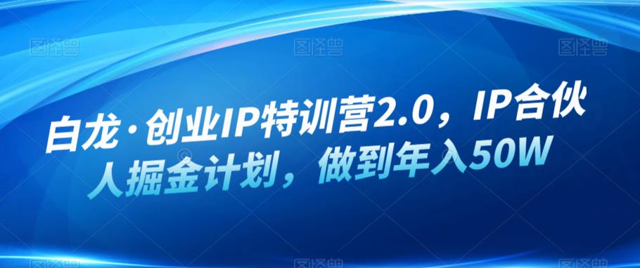 白龙·创业IP特训营2.0，IP合伙人掘金计划，做到年入50W-猫哥网资源库