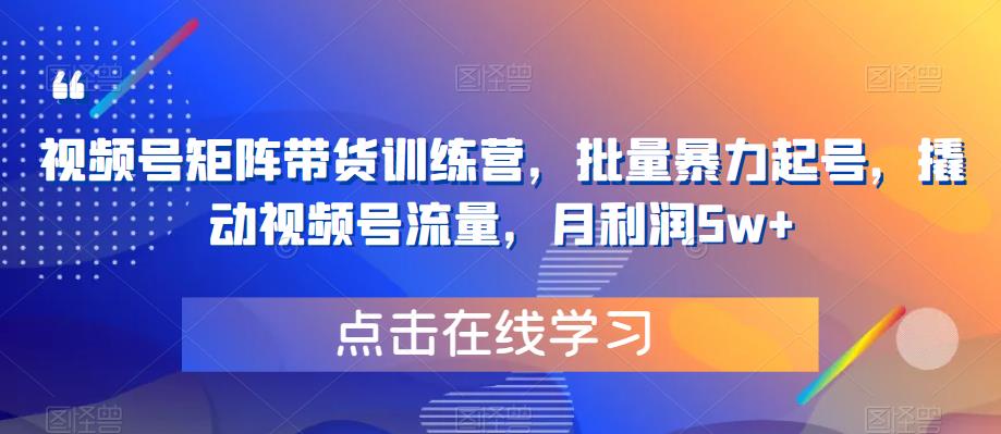 视频号矩阵带货训练营，批量暴力起号，撬动视频号流量，月利润5w+-猫哥网资源库