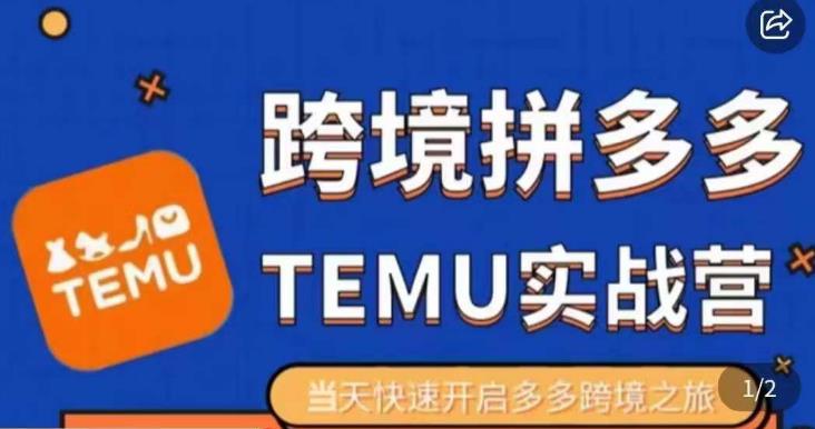 大鹏出海·拼多多跨境temu运营指导，开店注册+选品+核价上架，日出千单实战课-猫哥网资源库