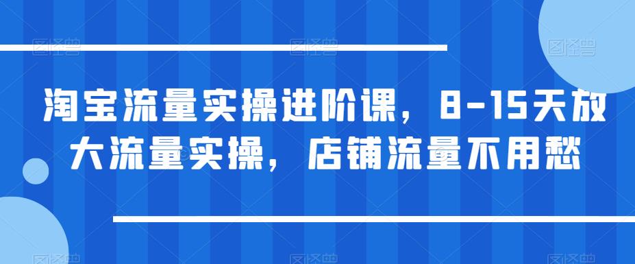 淘宝流量实操进阶课，8-15天放大流量实操，店铺流量不用愁-猫哥网资源库