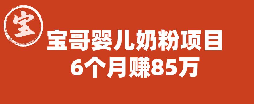 宝哥婴儿奶粉项目，6个月赚85w【图文非视频】【揭秘】-猫哥网资源库