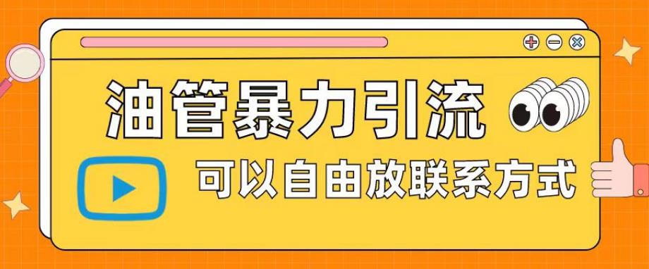 油管暴力引流，可以自由放联系方式【揭秘】-猫哥网资源库