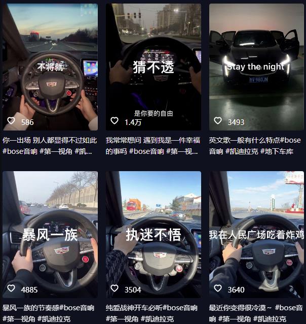 抖音开车视频项目，0基础操作，每天五分钟，月入1W+【揭秘】-猫哥网资源库