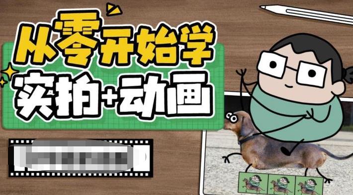 从零开始学实拍加动画，实拍加动画创意教程-猫哥网资源库