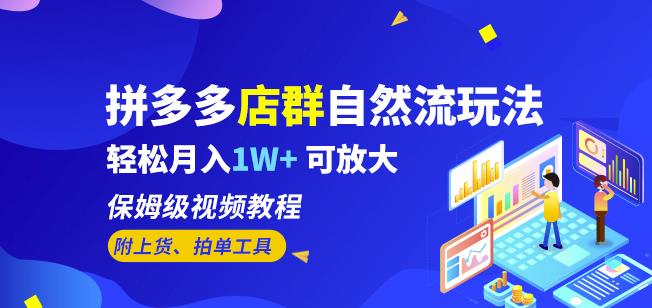 拼多多店群自然流玩法，轻松月入1W+保姆级视频教程（附上货、拍单工具）-猫哥网资源库