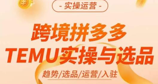 伍跃·跨境拼多多TEMU实操与选品，​趋势/选品/运营/入住（27节完整）-猫哥网资源库