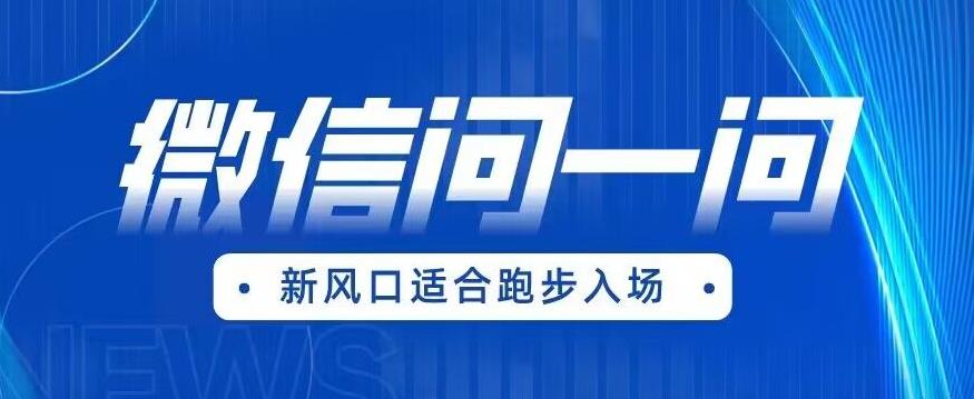 全网首发微信问一问新风口变现项目（价值1999元）【揭秘】-猫哥网资源库
