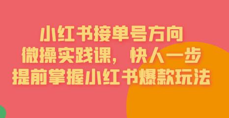 接单号方向·小红书微操实践课，快人一步，提前掌握小红书爆款玩法-猫哥网资源库