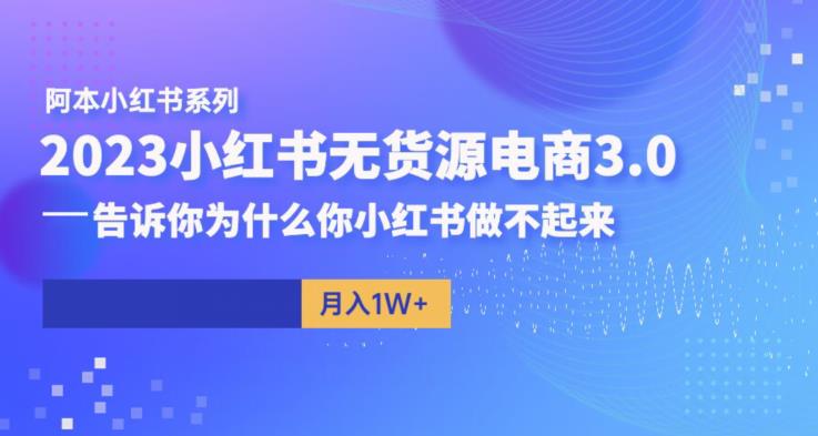 阿本小红书无货源电商3.0，告诉你为什么你小红书做不起来-猫哥网资源库