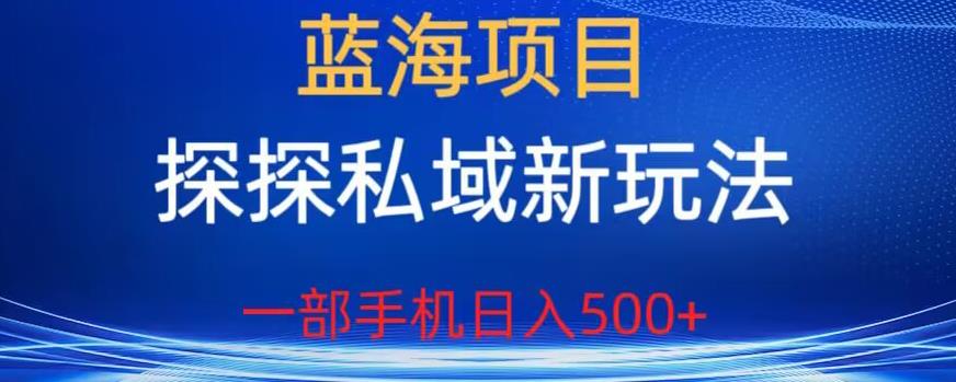 蓝海项目，探探私域新玩法，一部手机日入500+很轻松【揭秘】-猫哥网资源库
