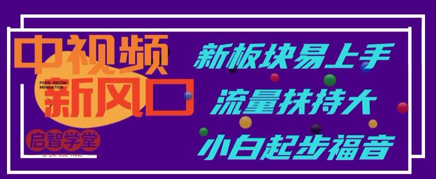 中视频新风口，新板块易上手，流量扶持大，小白起步福音【揭秘】-猫哥网资源库