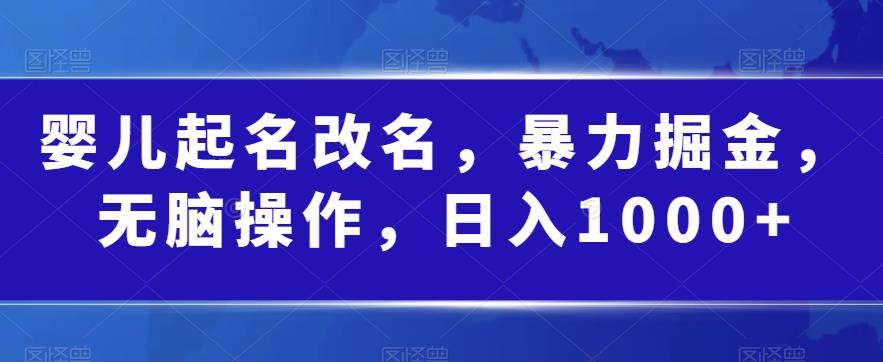 婴儿起名改名，暴力掘金，无脑操作，日入1000+【揭秘】-猫哥网资源库