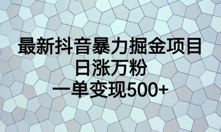 最新抖音暴力掘金项目，日涨万粉，一单变现500+【揭秘】-猫哥网资源库