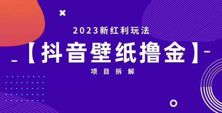 抖音壁纸小程序创作者撸金项目，2023新红利玩法【项目拆解】-猫哥网资源库