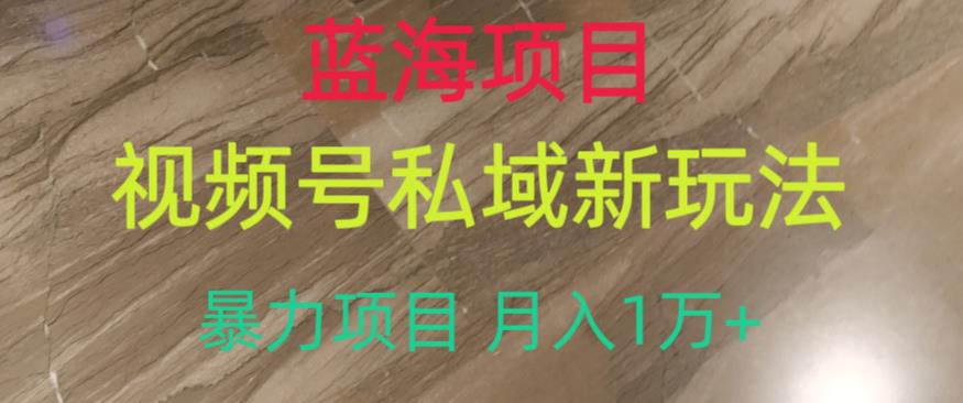 蓝海项目，视频号私域新玩法，暴力项目月入1万+【揭秘】-猫哥网资源库