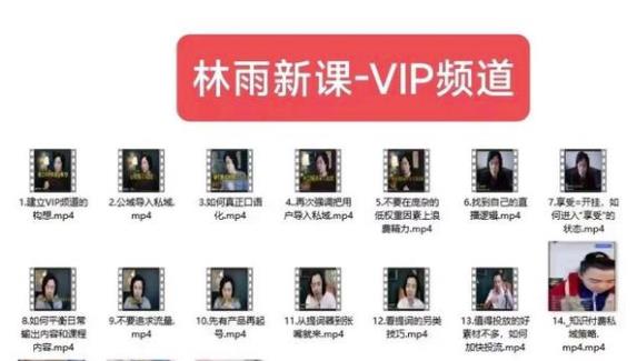 林雨新课VIP频道，玩赚私域/朋友圈/社群-猫哥网资源库