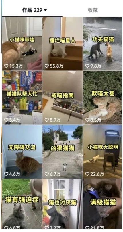 拆解：抖音盘点类中视频变现副业项目，视频版一条龙大解析分享给你-猫哥网资源库