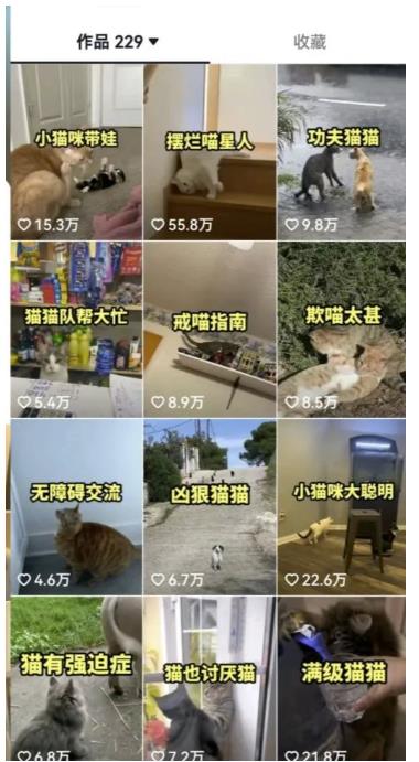 拆解抖音盘点类中视频变现副业项目，视频版一条龙大解析分享给你【视频课程】-猫哥网资源库