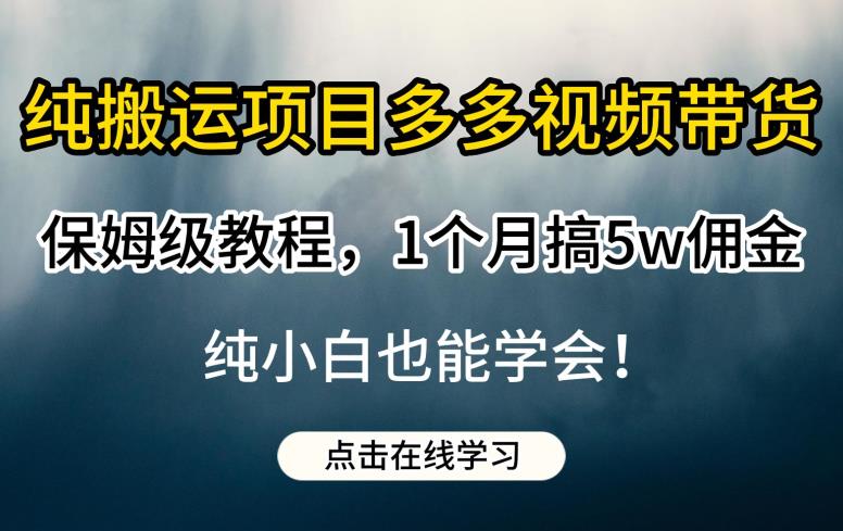 纯搬运项目多多视频带货保姆级教程，1个月搞5w佣金，纯小白也能学会【揭秘】-猫哥网资源库