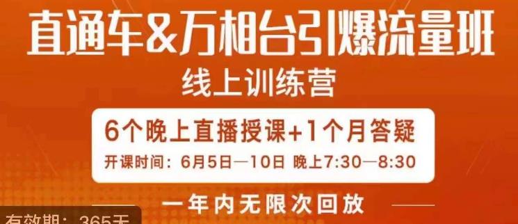 直通车&万相台引爆流量班，6天打通你开直通车·万相台的任督二脉-猫哥网资源库