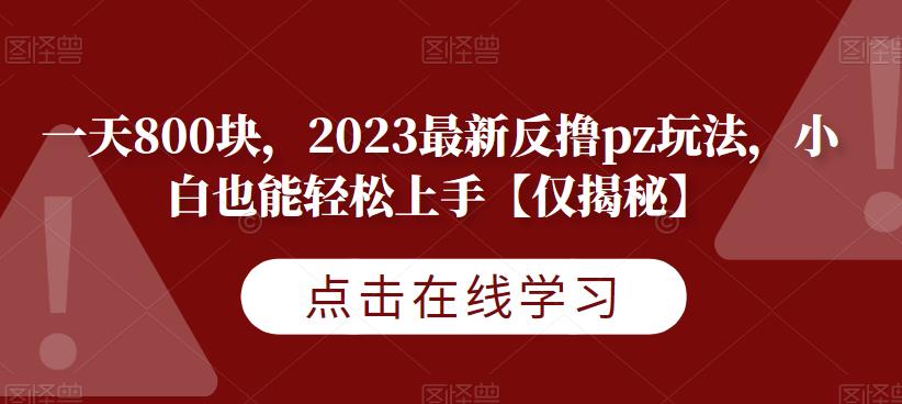 一天800块，2023最新反撸pz玩法，小白也能轻松上手【仅揭秘】-猫哥网资源库