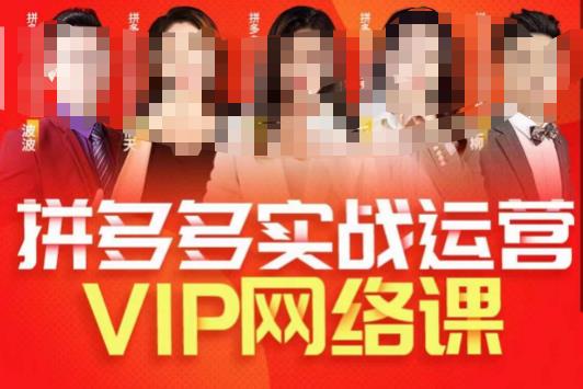 推易拼多多VIP全套直播课程，拼多多店铺实操玩法+实战玩法选款内功+直通车高阶等-猫哥网资源库