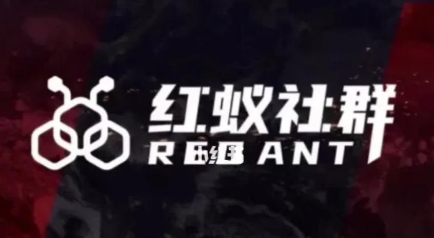 社群运营：红蚁社群【48节落地系统课程+2000人高端社群】-猫哥网资源库