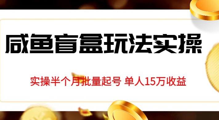 独家首发咸鱼盲盒玩法实操，半个月批量起号单人15万收益【揭秘】-猫哥网资源库