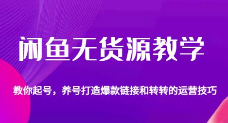 闲鱼无货源教学，教你起号，养号打造爆款链接以及转转的运营技巧-猫哥网资源库