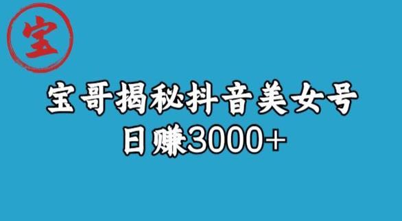 宝哥揭秘抖音美女号玩法，日赚3000+【揭秘】-猫哥网资源库