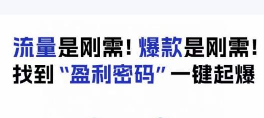 电商盈利精品课：6大盈利密码让产品更好卖，流量是刚需！爆款是刚需！找到”盈利密码”一键起爆-猫哥网资源库