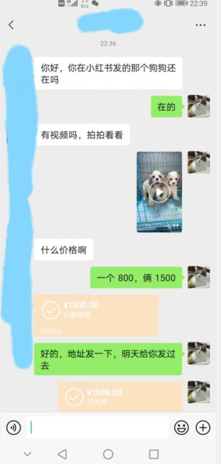 外边收费3980的同城萌宠项目，用最冷门的玩法冲击最热门的市场【揭秘】-猫哥网资源库