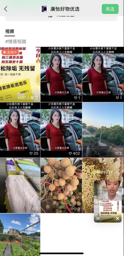 外面收费198的最新视频号连怼技术，条条原创，条条爆单【揭秘】-猫哥网资源库