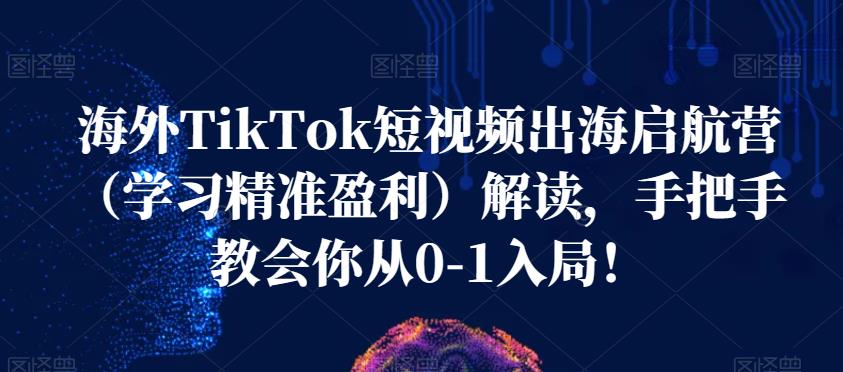 海外TikTok短视频出海启航营（学习精准盈利）解读，手把手教会你从0-1入局！-猫哥网资源库