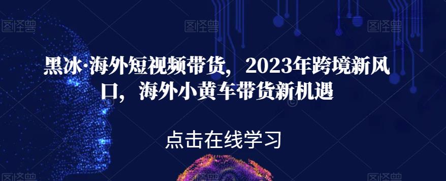 黑冰·海外短视频带货，2023年跨境新风口，海外小黄车带货新机遇-猫哥网资源库