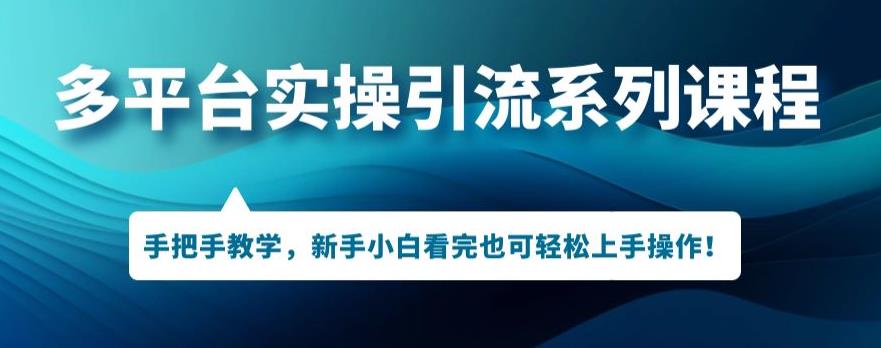 多平台引流实操系列课程，新手小白看完也可轻松上手进行引流操作-猫哥网资源库