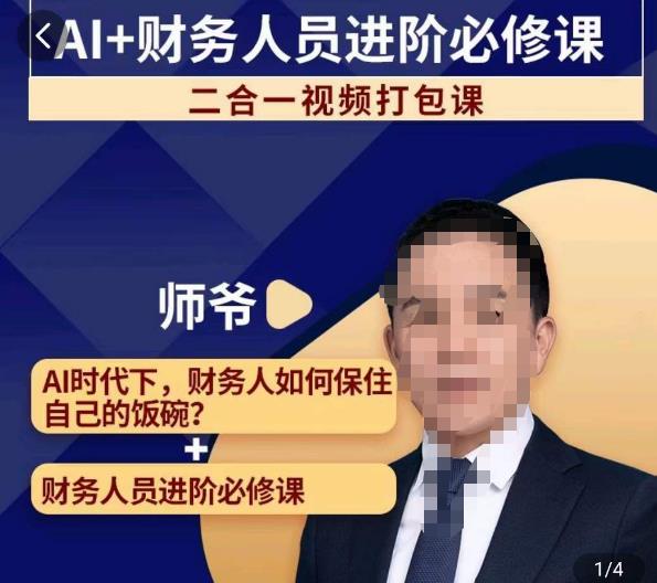AI+财务人员进阶必修课二合一视频打包课，财务人员进阶必修课-猫哥网资源库