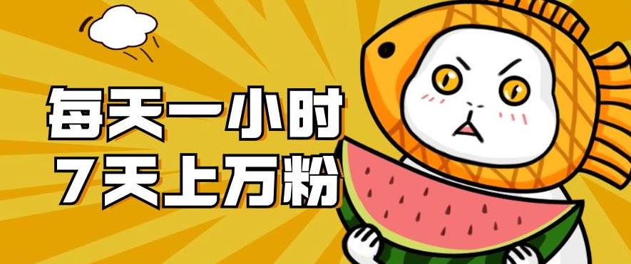 暴力涨粉项目：每天一小时，七天上万粉【揭秘】-猫哥网资源库