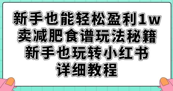 新手也能轻松盈利1w，卖减肥食谱玩法秘籍，新手也玩转小红书详细教程【揭秘】-猫哥网资源库