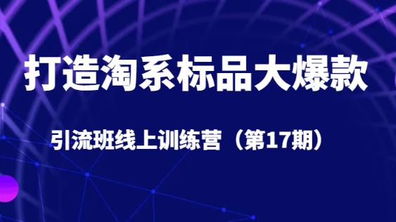 打造淘系标品大爆款引流班线上训练营（第17期）5天直播授课-猫哥网资源库